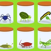 Bugs_in_jars_green_shop_thumb