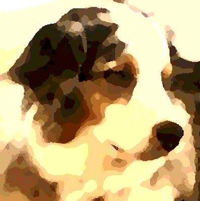  Our Dog Syd