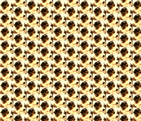  Our Dog Syd fabric by krussimages on Spoonflower - custom fabric