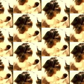  Our Dog Syd