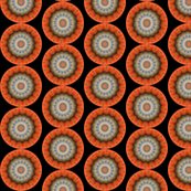 Rpumpkins_25_shop_thumb