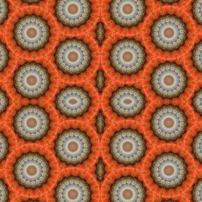 Pumpkin Pie Flowers 11