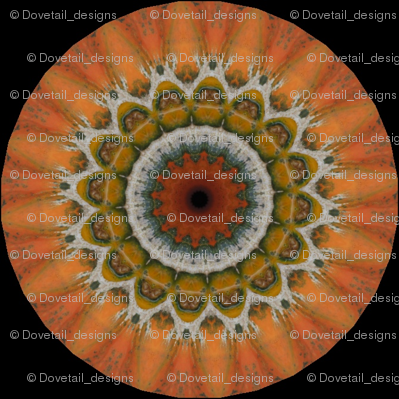 Pumpkin Pie Flowers 16