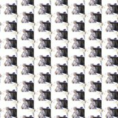 R019_shop_thumb