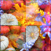 Pumpkins and Flowers 3