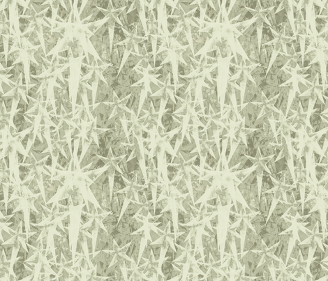 Stars in Sage and White 
