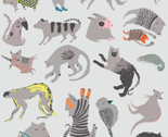 Ranimalsvectorv4