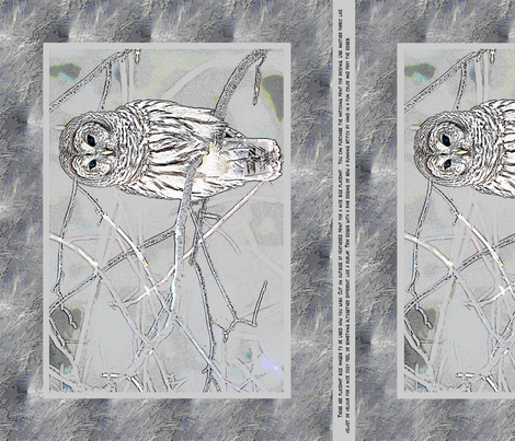Owl Placemats
