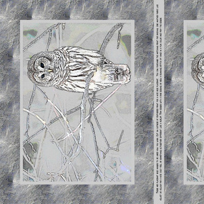 Owl Placemats