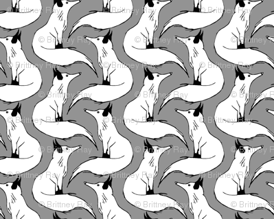Arctic Foxes on Gray