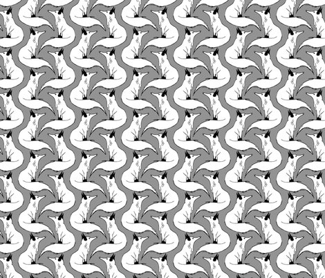 R709645_rrrfoxes_on_red_shop_preview