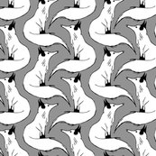 R709645_rrrfoxes_on_red_shop_thumb