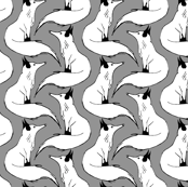 Arctic Foxes on Gray