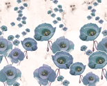 Poppies in a gray color way
