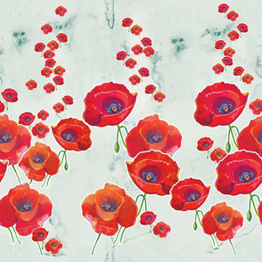 Poppies