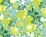 Succulent Succulents