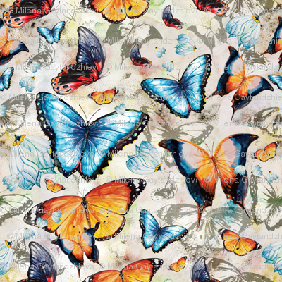 Butterflies