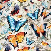 Rbutterflies_shop_thumb