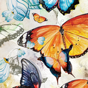 Butterflies