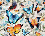 Butterflies