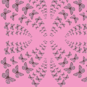 butterflies1