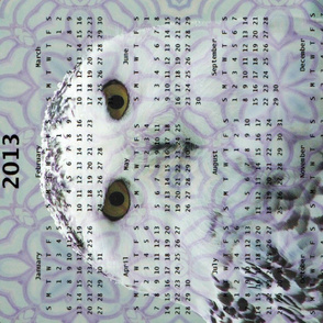 2013 Calendar - Birdsongs 4-  Irish Owl from the Burren, Ireland