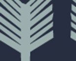 Arrows
