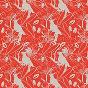 Cockatoo_tangerine