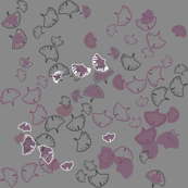Pinky grey Gingko