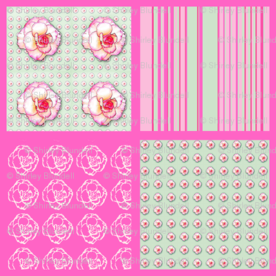 Begonia Coordinate