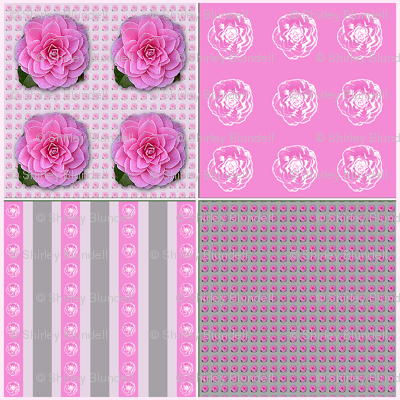 Camellia Coordinate