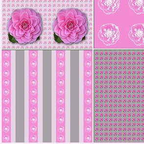 Camellia Coordinate