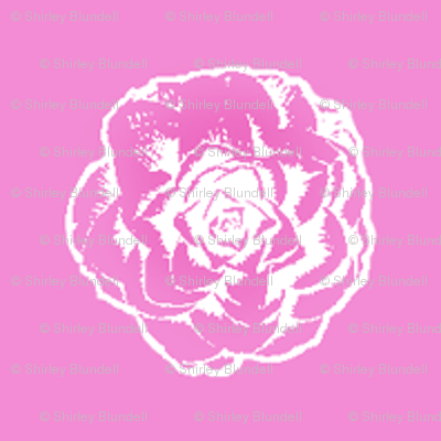 Camellia sketch