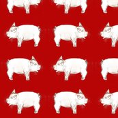 Jul_pig_shop_thumb