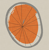 the wheels on my bike go...