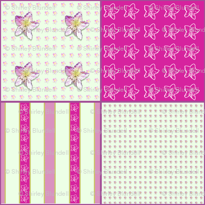 Campanula Coordinate