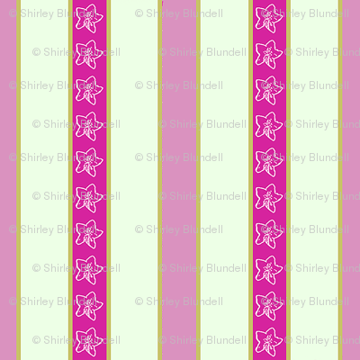 Campanula stripe_