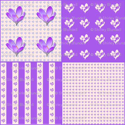 Crocus Coordinate