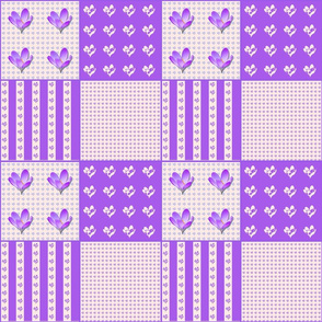 Crocus Coordinate