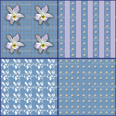Orchid Coordinate