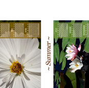 2013 Fabric Calendar