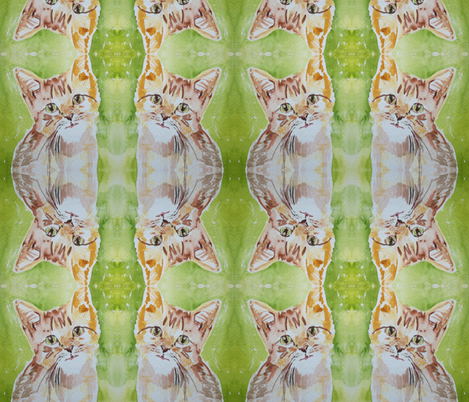 Catlady