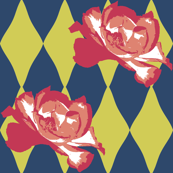 Nasher Roses