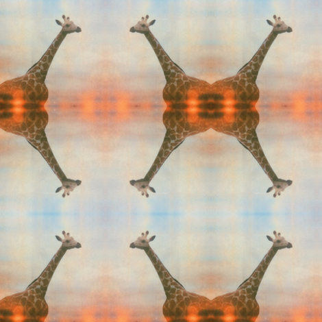 Geraldine  fabric by jennyvorwaller on Spoonflower - custom fabric