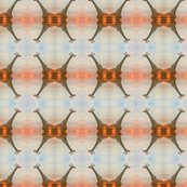 Rgiraffe_shop_thumb