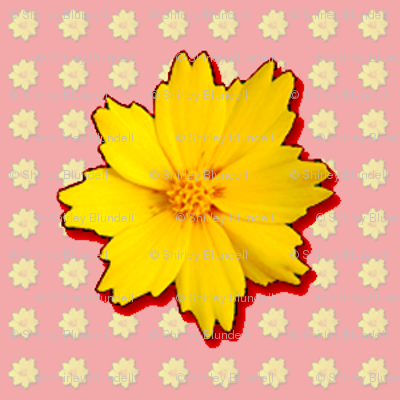 Coreopsis Pattern