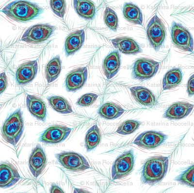 peacock_feathers