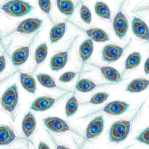 peacock_feathers