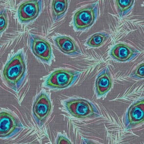 peacock_feathers_grey