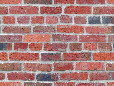 Old Brick Wall -bigger